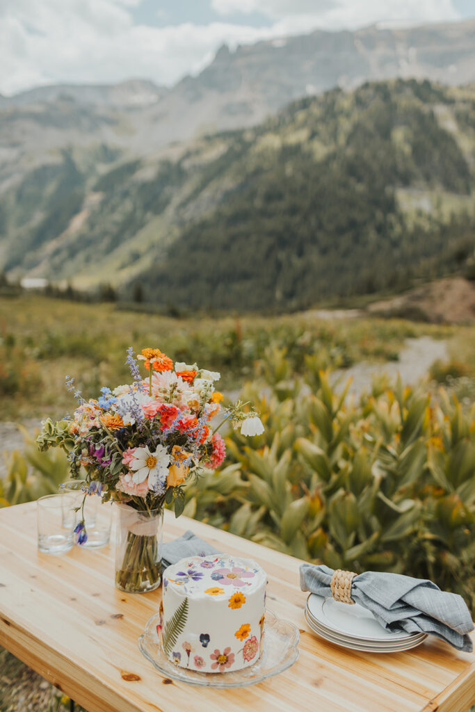 wildflower-elopement-picnic-yankee-boy-basin