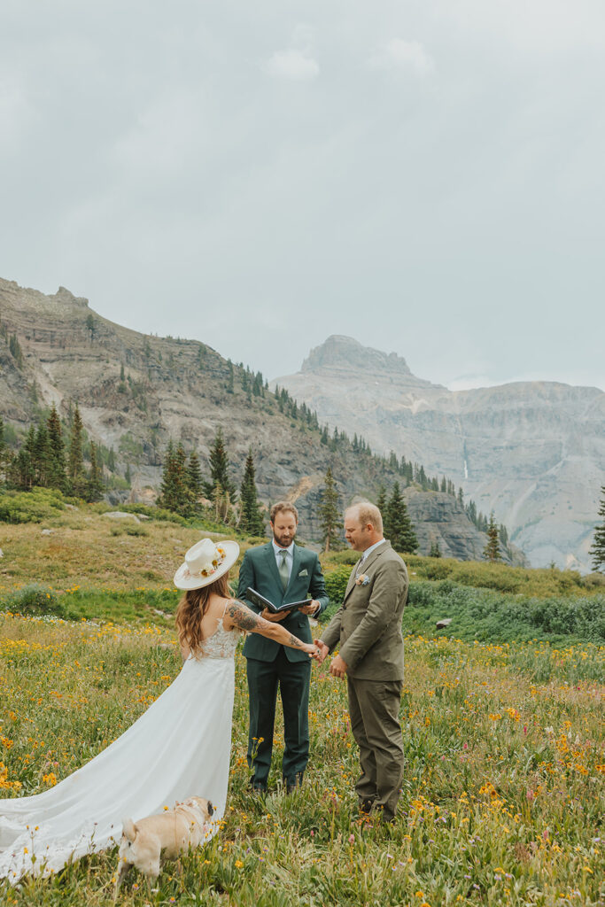 ouray-wildflower-elopement